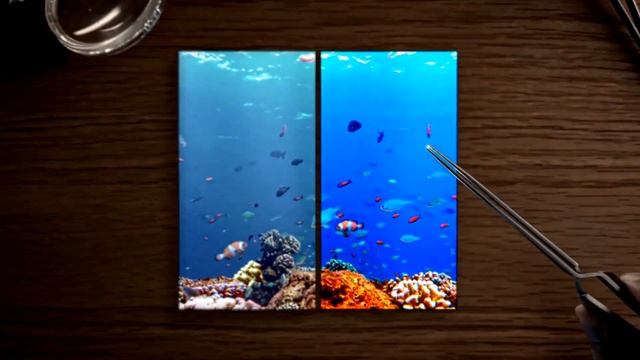 Samsung AMOLED Display | Galaxy S8 | iPhone 8 смотреть онлайн