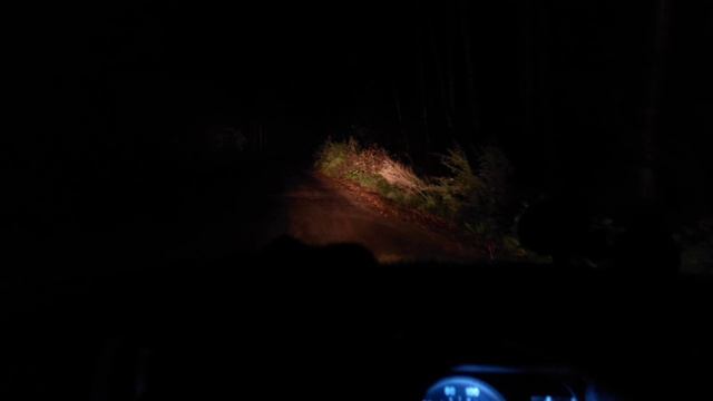 Бомжетур по помойкам!) Подготовка к зиме! смотреть онлайн