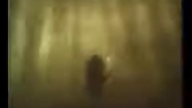 Ежик в тумане - трейлер 1975 смотреть онлайн