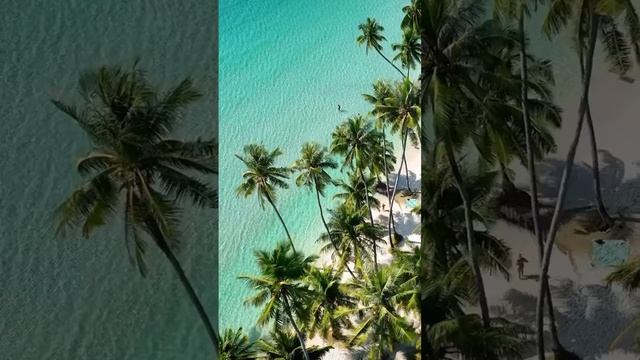 Пляж, море, солнце- готовимся к лету‼️