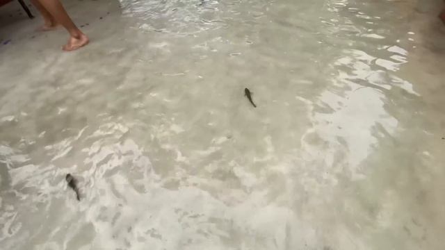 ছাদের উপরে Water Park 💦💦 || next level মজা করলাম 🤪🤪 смотреть онлайн