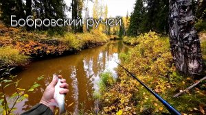 ТАЁЖНЫЙ РУЧЕЙ - МЕЧТА РЫБАКА ч.1  #чебак #мохтик #ручей #рыбалка