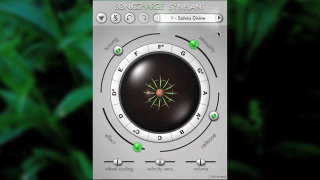 Synplant Showcase смотреть онлайн