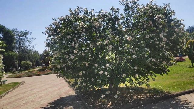 Pocophone F1 GOOGLE CAMERA test video 4K 30 FPS с EIS. смотреть онлайн