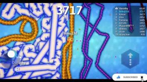 Snake oi 🐍 I trapped the king 👑 most delicious snake 🐍 Snake Gameplay