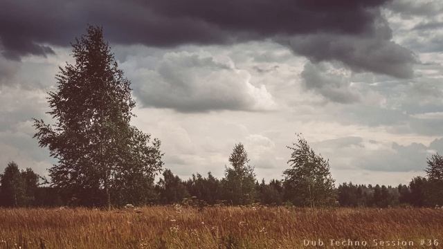 Dub Techno Session #36 смотреть онлайн