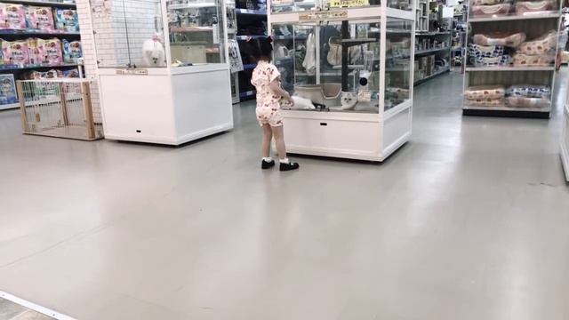 Pet Plaza смотреть онлайн