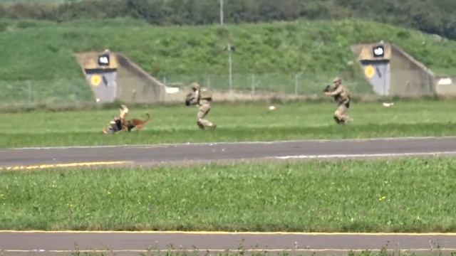 Austrian Army Evacuation Demonstration [Airpower 2016] смотреть онлайн