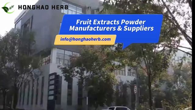 Fruit Extract Powder Suppliers and Manufacturers Fruit Powder Wholesale Bulk Supplier смотреть онлайн