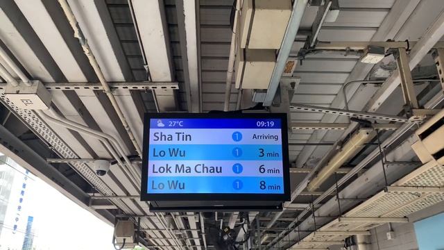 【晨早沙田特車】陳如茵港鐵廣播：往沙田站嘅列車即將到達 （東鐵綫旺角東、九龍塘及大圍站版本、該廣播將於月台自動閘門全面安裝後消失） смотреть онлайн