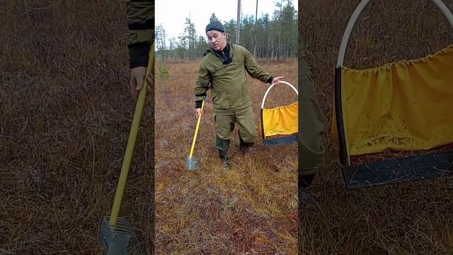 сбор клюквы новый инструмент. 2024г. смотреть онлайн