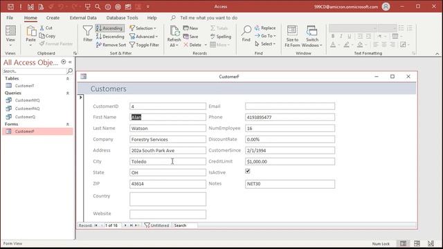 Microsoft Access Beginner 1, Lesson 10: Customer Form Part 1. For Access 2016, 2019, 365 Tutorial смотреть онлайн