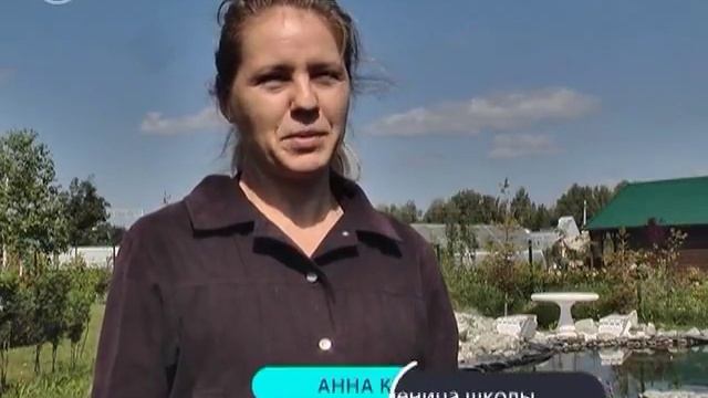 Полезная программа № 149 (эфир от 18.09.2018) смотреть онлайн