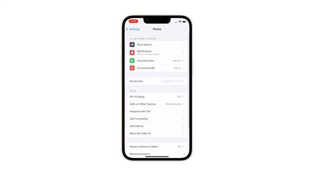 How to Activate the iPhone 13 Call Forwarding Feature (iOS 15) смотреть онлайн