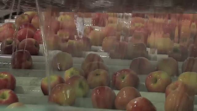 Farm to Fork with Crunch Pak Apples смотреть онлайн