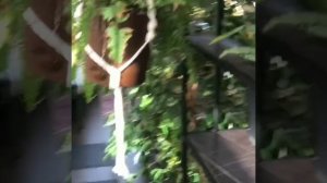 Истра. Зимний сад