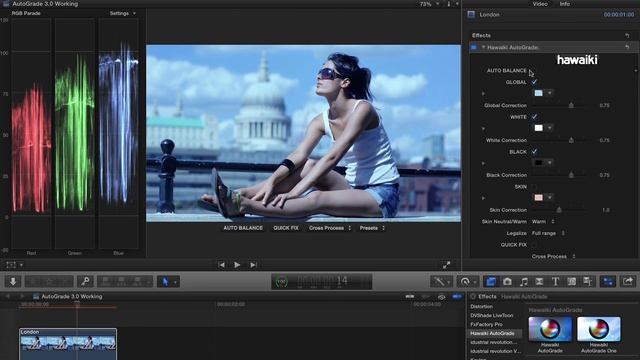 AutoGrade for Final Cut Pro, Premiere Pro, After Effects and Motion смотреть онлайн