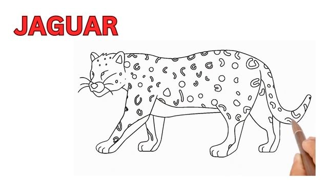 J for Jaguar Drawing, Painting, pronunciation and Coloring смотреть онлайн