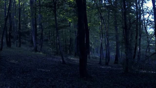 X Files short remix смотреть онлайн