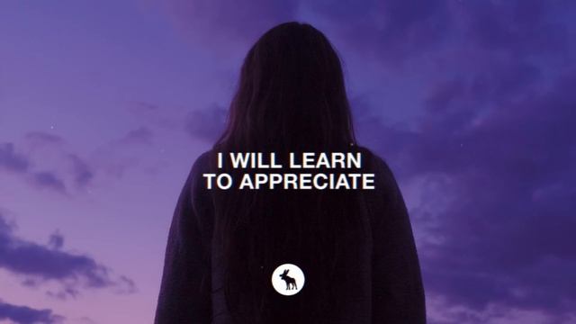 Hippie Sabotage - IMMUNE TO DANGER (Lyrics)