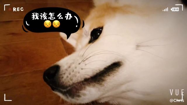 妈咪给Cherry挠痒痒