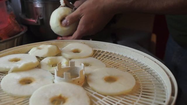 Dehydrating Apples for Food Storage смотреть онлайн