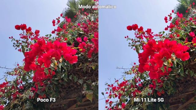 ⚡Poco F3 vs Mi 11 Lite 5G⚡NO CREERÁS EL RESULTADO 😱🤫 смотреть онлайн