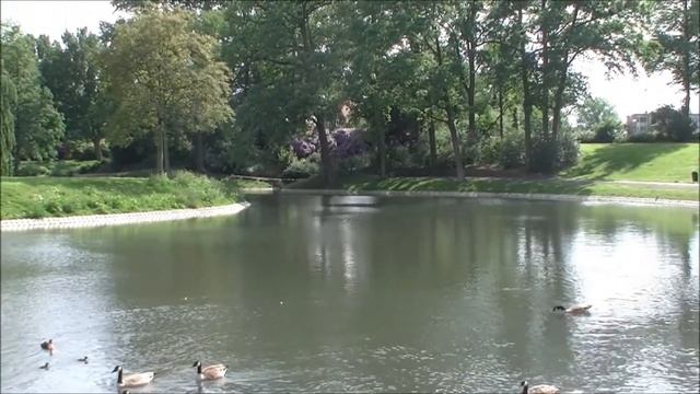 Voorjaarswandeling in het Anton van Duinkerkenpark in Bergen op Zoom смотреть онлайн