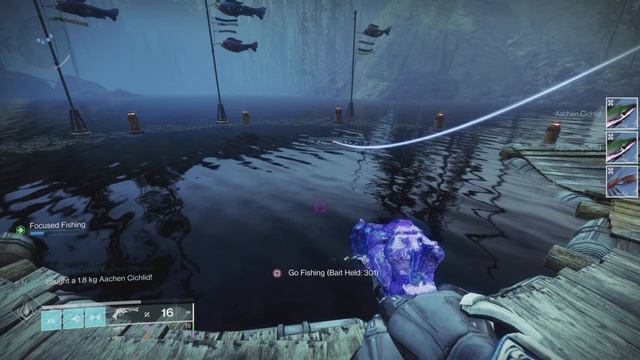 Destiny 2 - Fishing - Caught an Exotic Fish Kheprain Axehead смотреть онлайн