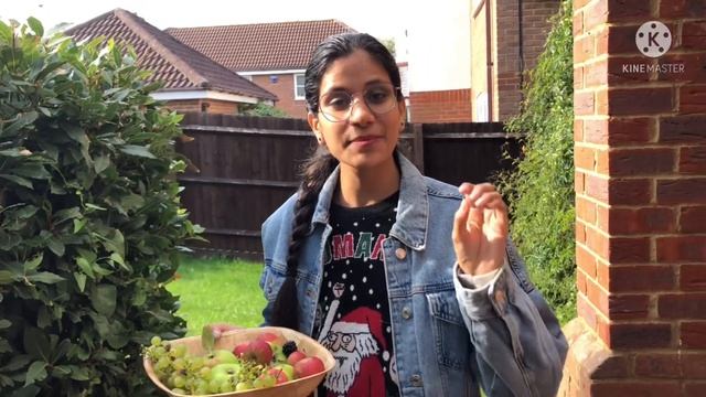 Garden tour | aaj banaya achar garden ki apple se | indian vlogger #zindagilivewithalka #indiansinu смотреть онлайн
