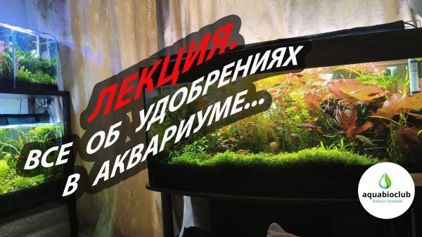 Лекция. Все про питательные элементы (удобрения) в аквариуме.