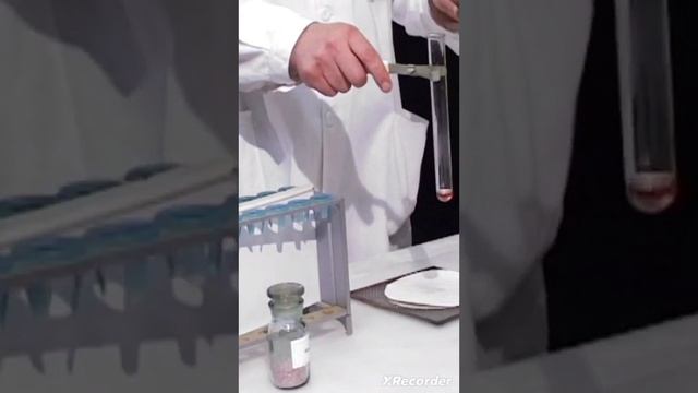 взаимодействие фенола с металлическим натрием смотреть онлайн