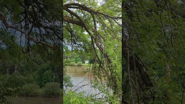 Природа в 4к смотреть онлайн