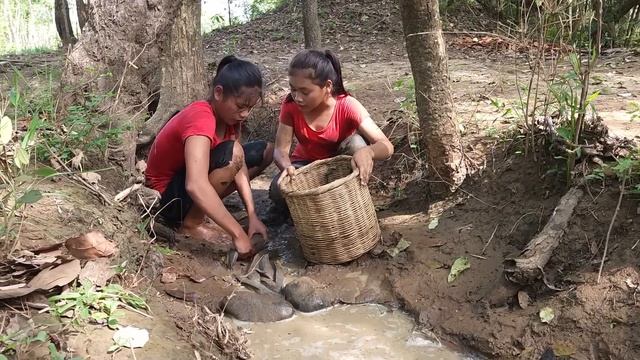 Survival Skills: Catch Catfish And Pick Wild Red Apple For Food In Forest- Catfish Roasted For Dine
