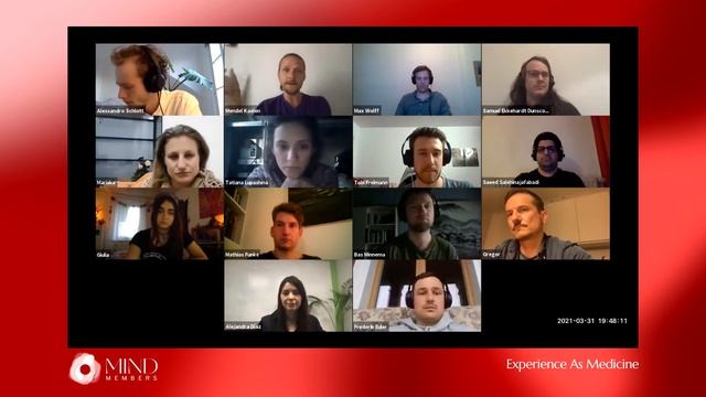 Experience as Medicine | Dr. Mendel Kaelen on Wavepaths смотреть онлайн