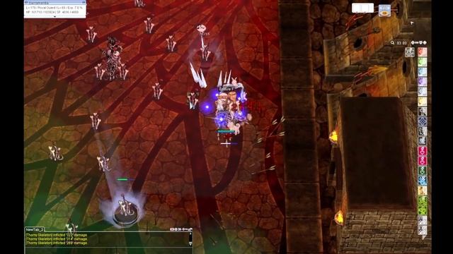 [iRO] Royal Guard Genesis Ray VS ET Bosses (85-100) смотреть онлайн