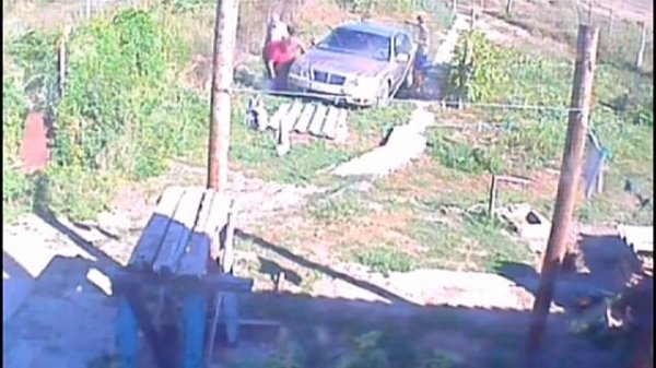 Крым Саки директор Крайненской школы Чеснокова Т К беспридел