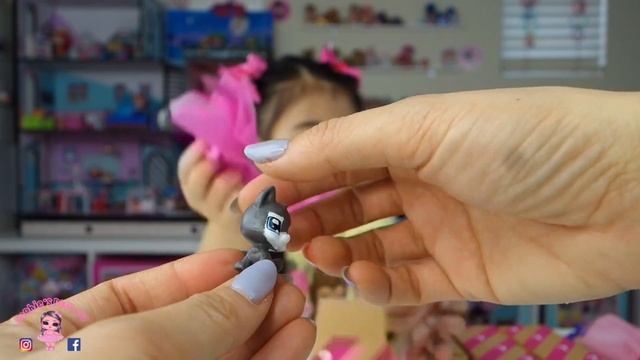 Boxy Girls Mini Box Unboxing Mini Dolls and Pet in one Box! Kids Surprise Toys смотреть онлайн