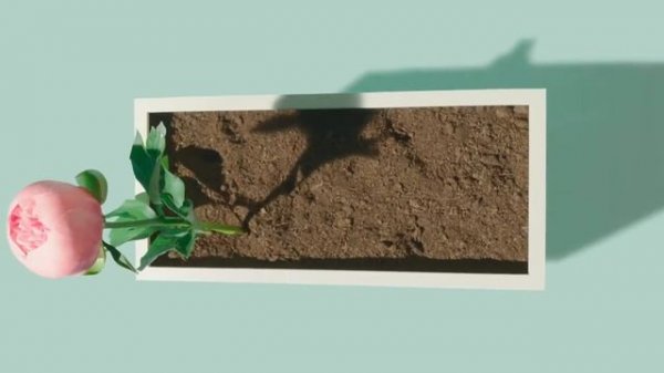 Apple – Health App – Mindfulness