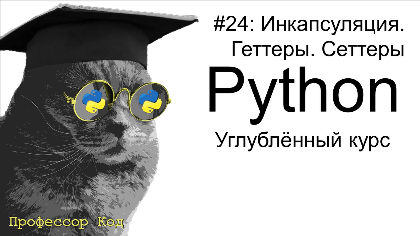Инкапсуляция. Геттеры. Сеттеры | Python: углубленный курс| Профессор код смотреть онлайн