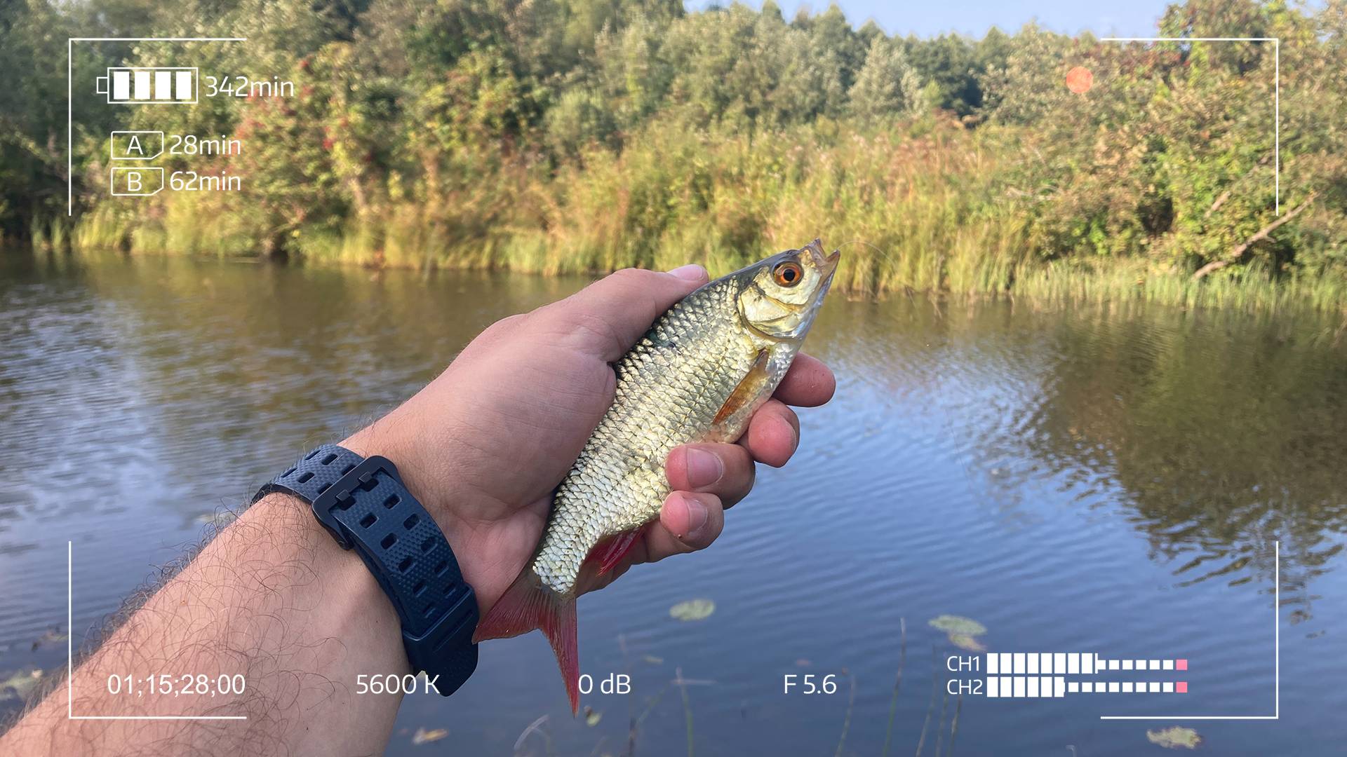 Безупречный мормышинг. Так ты поймаешь любую рыбу смотреть онлайн