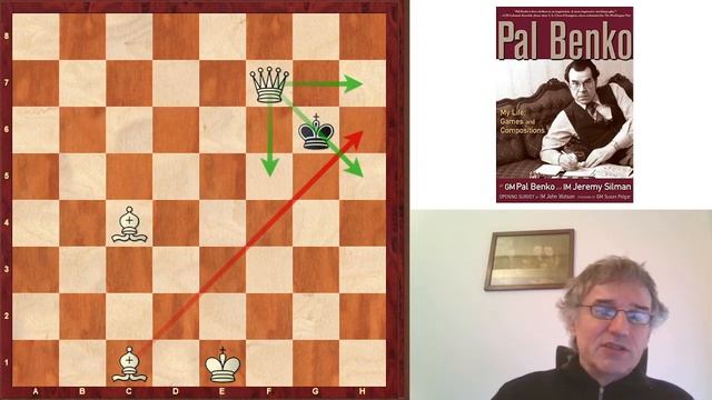 Scacco matto in n.3 mosse - Pal Benko смотреть онлайн