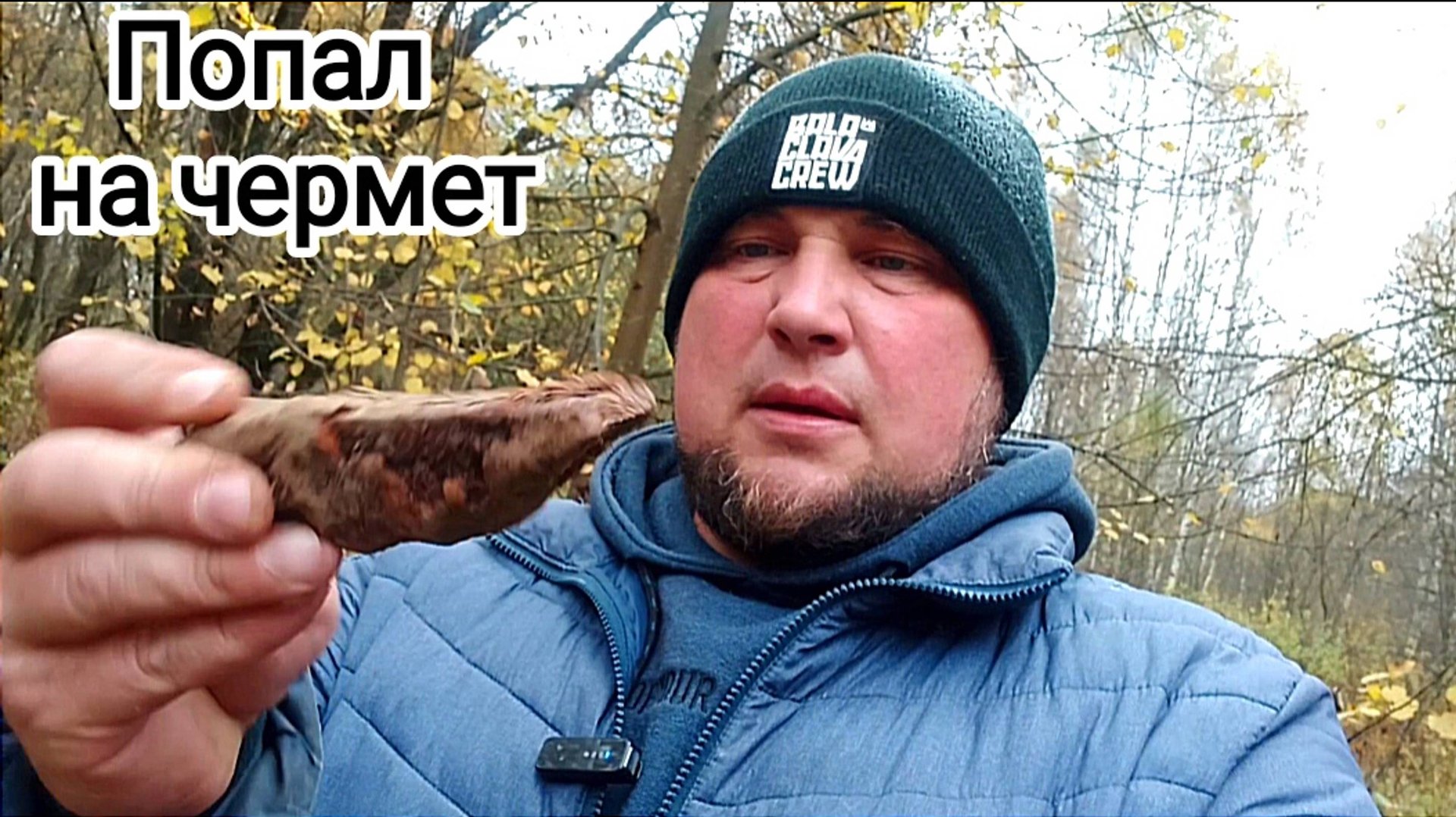 Под сенью леса: коп металлолома с металлоискателем смотреть онлайн