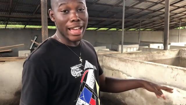 Do Pigs Eat Bread? смотреть онлайн