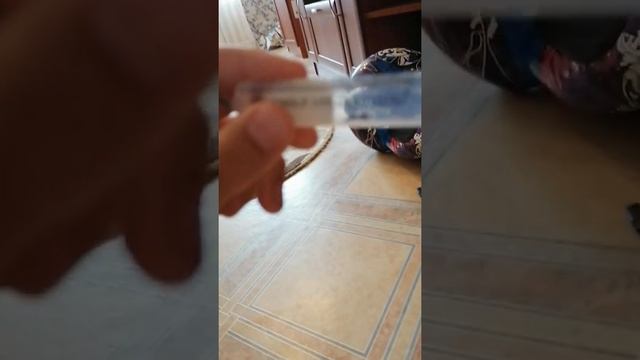 Чем кормить маток муравьев Lasius Niger