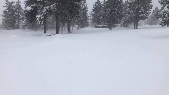 More Snow Dodge! '67 Power Wagon snow plow in Colorado смотреть онлайн