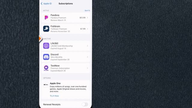 Cancel Pandora Subscription | Delete Cancel Pandora Premium Subscription on iPhone or iTunes or iPa смотреть онлайн