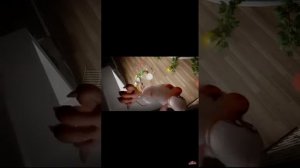 Наоборот буба кухня