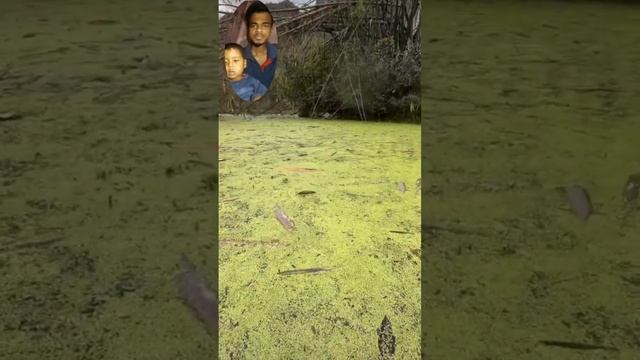 IPhone under water video recording #viral #funny #funnyvideo смотреть онлайн