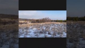 Охота с гончими на зайца-русака